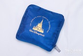 『Walt Disney World Boston Bag BOOK』