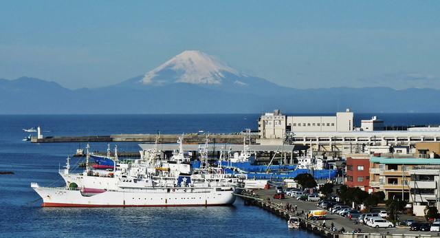 三崎漁港（神奈川）