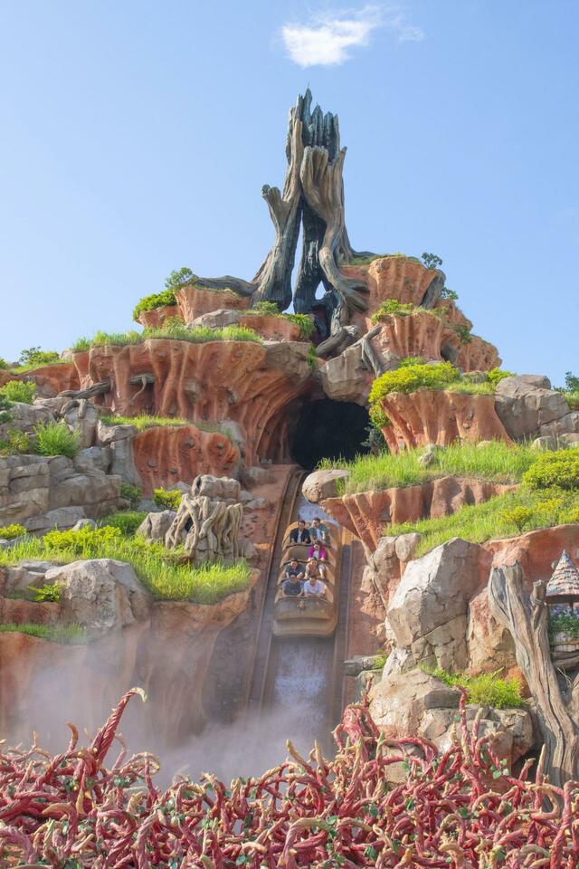 東京ディズニーランド「スプラッシュ・マウンテン“びしょ濡れMAX”」