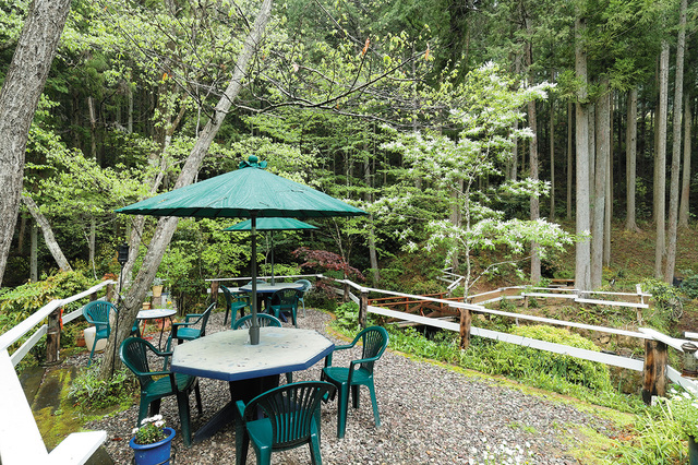 天気のいい日は森の中のテラスが特等席。マイナスイオンをたっぷり浴びて｜アルフォンソ カフェ