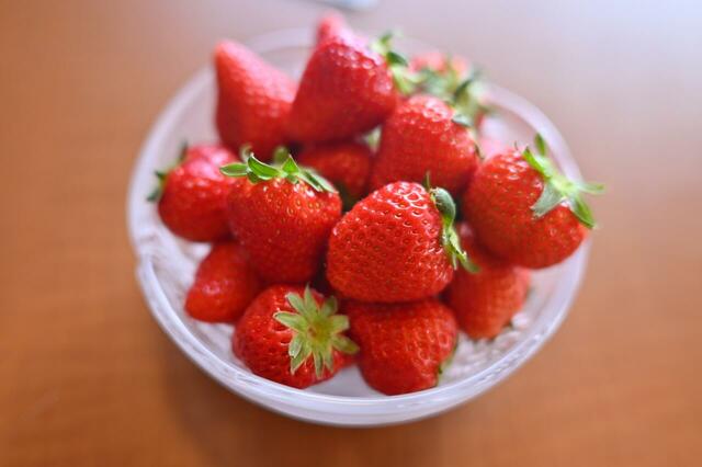 「いちごづくしの和菓子スイーツバー」＜期間：2026年3月20日～4月5日＞【あん巻きの皮も食べ放題の「あんみつバー（R）」が限定復活！老舗和菓子店お亀堂が“いちごづくしの和菓子スイーツバー”を開催！】