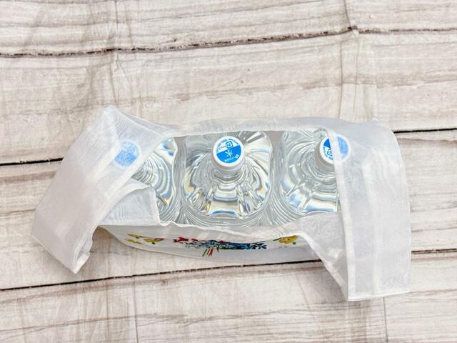 【PEACH JOHN×キャス キッドソン】「シアーエンブロイダリーバッグ」コンパクトな見た目ながら、2Lペットボトルが3本収納可能！