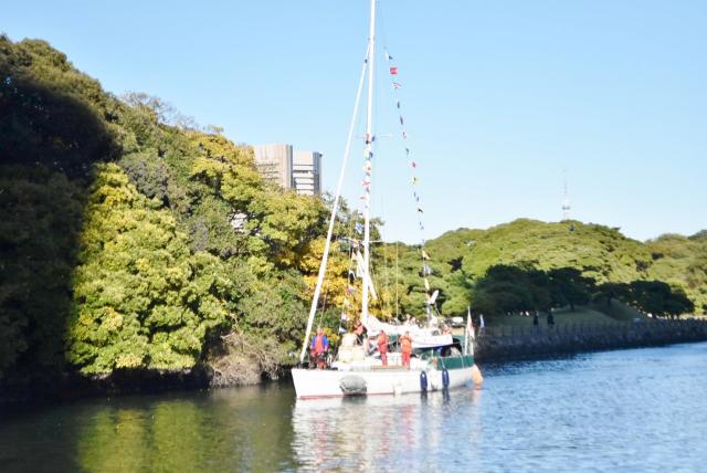 セーリングヨット（船舶の長さ11.98m、総トン数8.5トン）