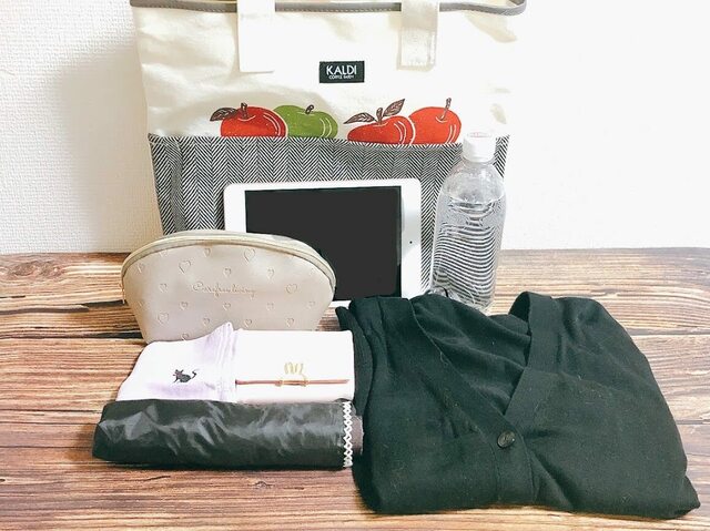 【カルディ りんごバッグ】収納力を検証してみます！