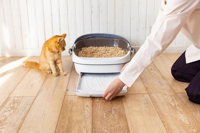 「エステーペット 実感消臭本体セット」イメージ