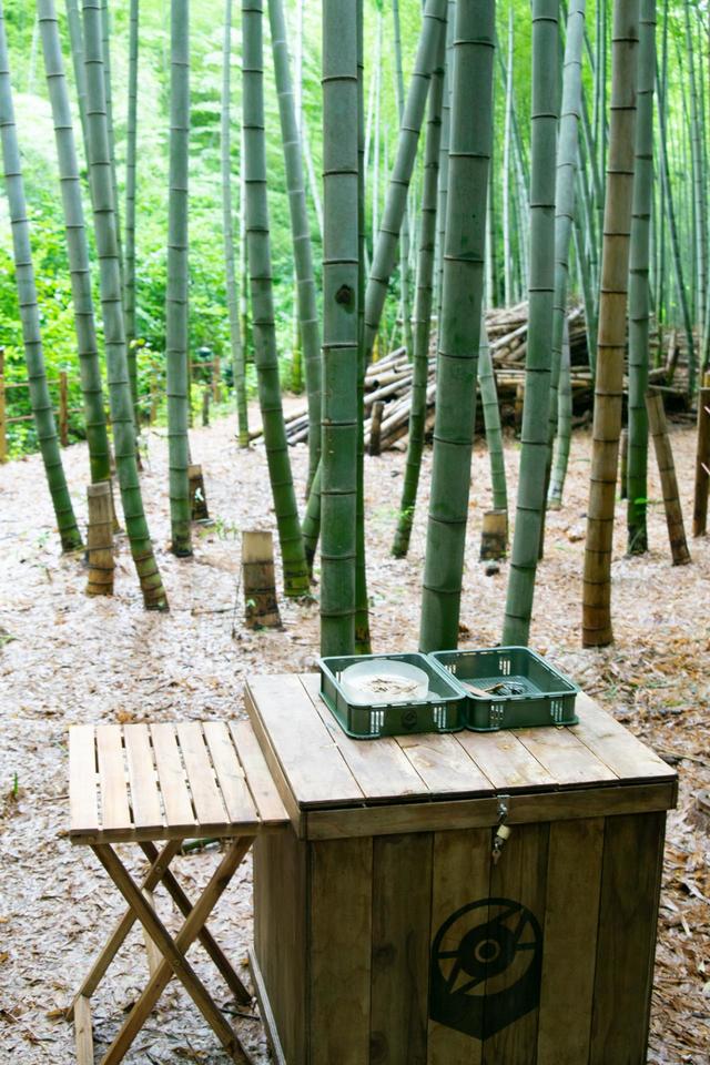 「ささやきの竹林」エリア