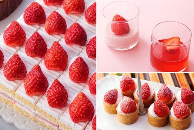 「SPY×FAMILY コラボレーションビュッフェ～アーリースプリング～」＜期間：2025年1月16日～2025年2月28日＞【アーニャ＆フォージャー家と一緒にひと足早い春♪第2弾『SPY×FAMILY』コラボビュッフェに新メニュー登場！】