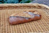 「石臼ショートバゲット」。酒粕を使っているからこそこの色が出るのだそうだ