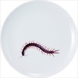 ムカデの皿