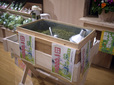 埼玉の特産品狭山茶も売られている「いるマルシェ」