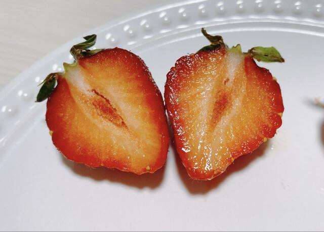 【ニトリ フレッシュキーパークラリー】みずみずしい状態をキープ！