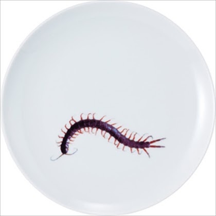 ムカデの皿