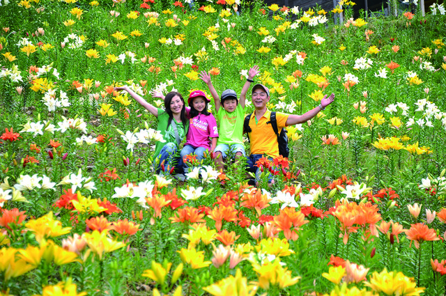 タングラム斑尾 ゆり園