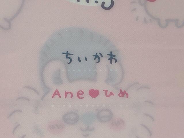 「Aneひめ」のナガノ先生手書きロゴも！豪華すぎる…！