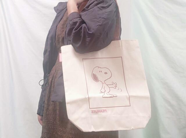 肩掛けも可能♪