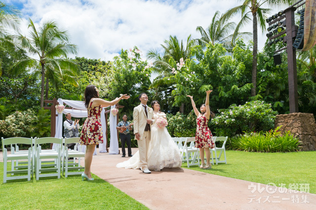 青空の下のフラワーシャワー