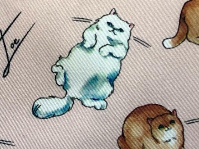 もふもふのお腹を見せるジプシーも可愛い〜！