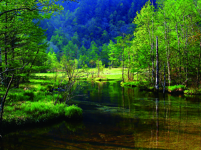 ＜大正池立ち寄りスポット＞田代池
