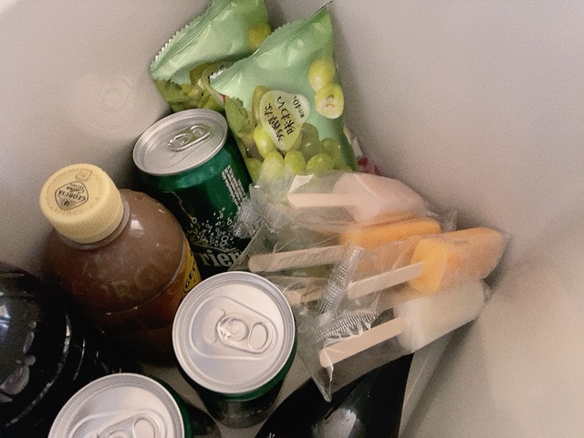 【アイリスオーヤマ HUGEL 真空断熱クーラーボックス】飲み物、アイスなどを入れます