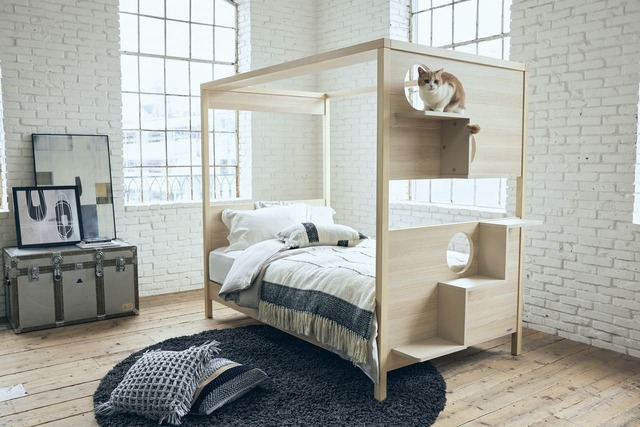 【フランスペット】「キャットタワー付きベッド」