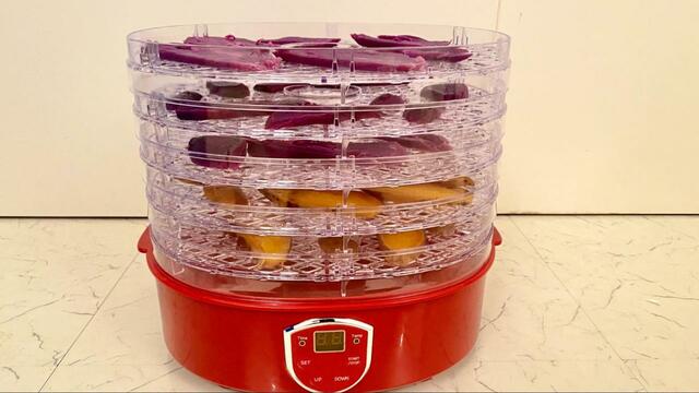 【ヘルシーフードドライヤー】野菜やフルーツなどをヘルシーにおうちで簡単ドライフード作り