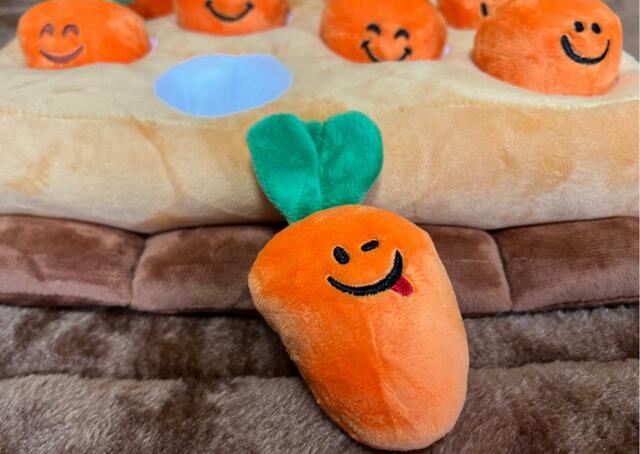 【にんじん畑】価格は3,580円（税込）