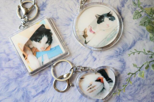【セリア オリジナルフォトインキーホルダー】肉球やマズルを愛でるデザインも