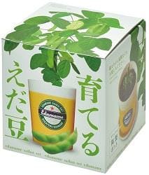 【ロフト父の日】育てるえだ豆栽培セット(聖心陶芸)　￥1,100
