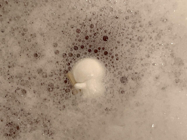 2日目。この真っ白な後ろ姿は…