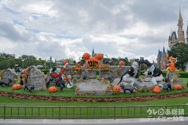 ハロウィーンのフォトスポット