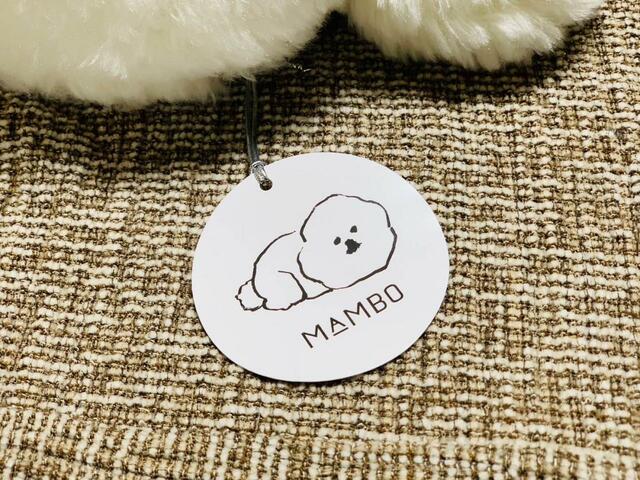 取り外し可能なタグが後ろ足の近くについています