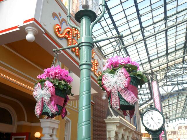 東京ディズニーランド|「ディズニー・パルパルーザ“ミニーのファンダーランド”」 |園内装飾