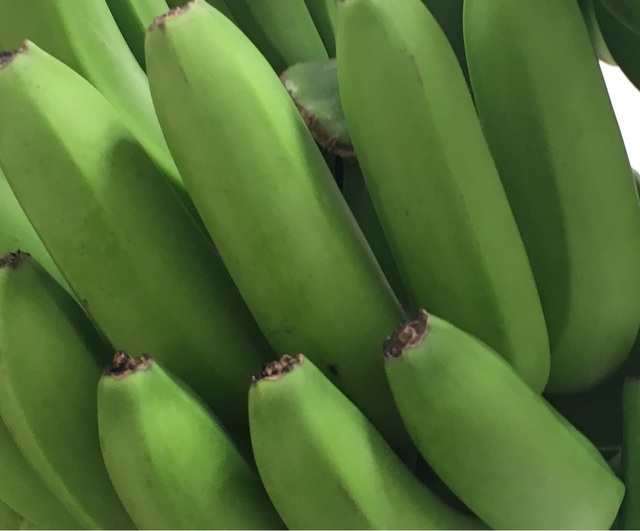 凍結解凍覚醒法