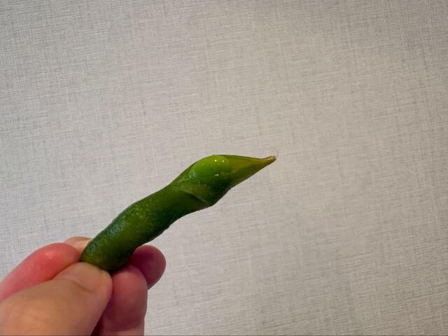 【ロピア 今日のエダマメ】1本手に取ってみると、さやの先にぷっくりとした水滴、みずみずしさが伝わってきました◎