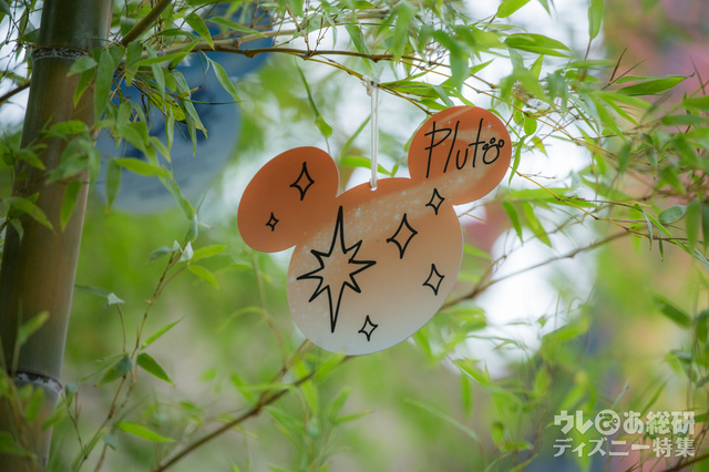 プルートのウィッシングカード