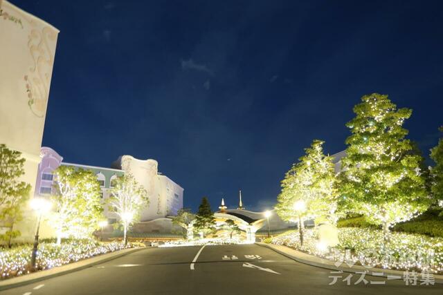 東京ディズニーシー・ファンタジースプリングスホテル エントランス前　クリスマス装飾