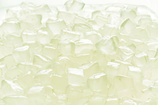 【ゴンチャ】アロエ トッピング