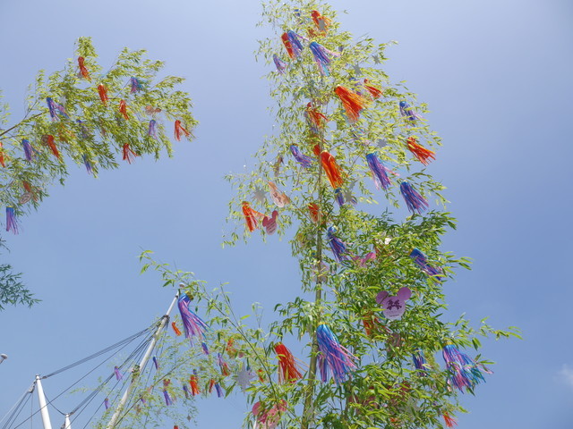 東京ディズニーシー「ディズニー七夕デイズ」