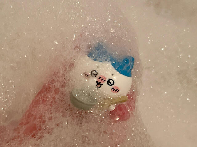 ハチワレが来てくれました！かわいい〜！