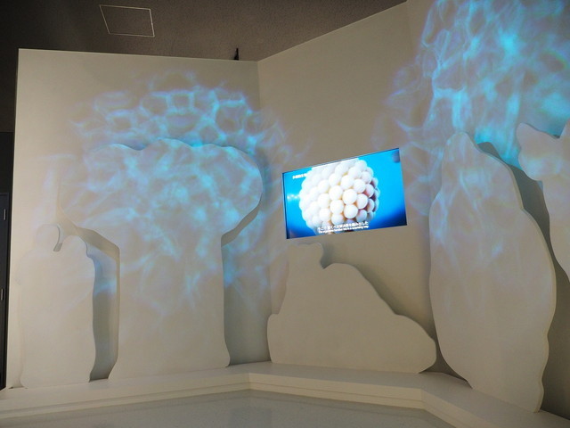 たばこと塩の博物館／「塩の世界」