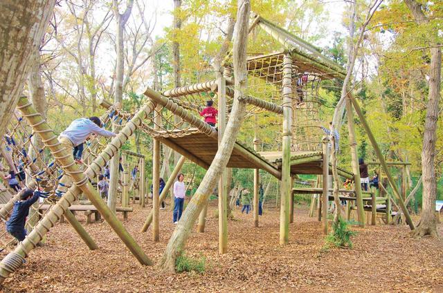 ふなばしアンデルセン公園森のアスレチック【千葉・船橋】　ネットくぐり抜けの遊具