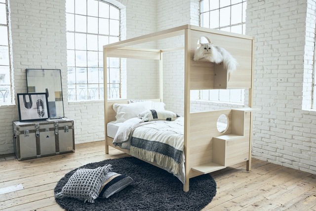 【フランスペット】「キャットタワー付きベッド」