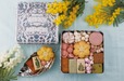 【パティスリー GIN NO MORI「森の恵みクッキー プティボワ Spring」￥4,320】いちご、菊花、春山椒、ヨモギなどの春を感じる森の食材をつかった焼き菓子は全12種類。