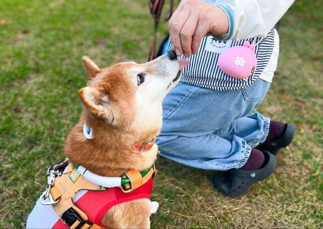 【ぽちのPOCHI シリコンがまぐち】リードを持つ手はそのままに、片手でおやつを出し入れできます
