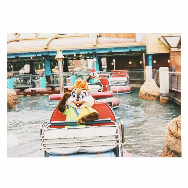 写真 500円|東京ディズニーリゾート・フォトグラフィープロジェクト「イマジニング・ザ・マジック」第2弾グッズ|東京ディズニーリゾート40周年“ドリームゴーラウンド”|発売日:2023年12月7日(木)|販売店舗:東京ディズニーランド「グランドエンポーリアム」、東京ディズニーシー「ヴァレンティーナズ・スウィート」