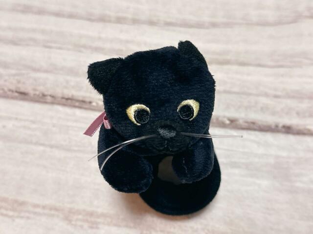 【カルディ ハロウィン パッチンキャットトリートバッグ】税込898円