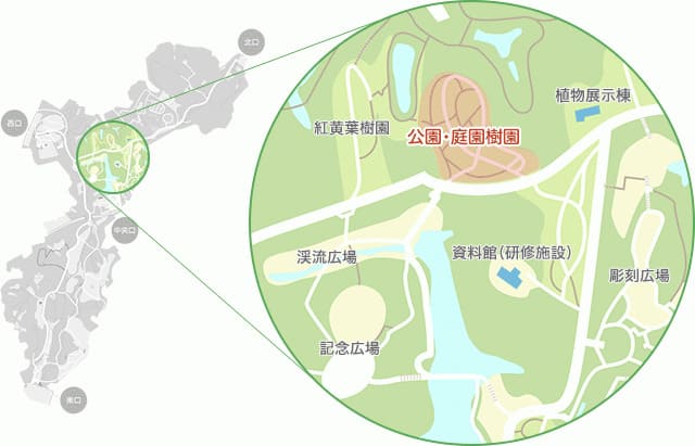 【国営武蔵丘陵森林公園】園内マップ