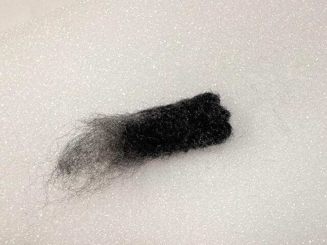 しっぽの先を2箇所刺しつけてくぼませます