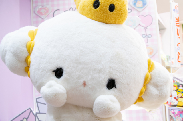 ファンとグリーティングを楽しみます