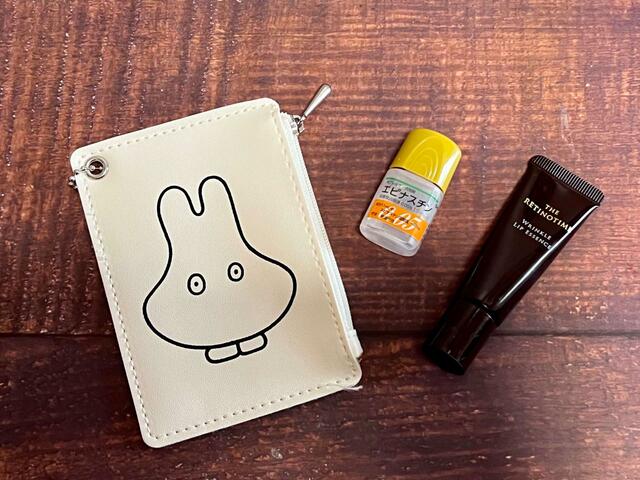 【sweet（スウィート）4月号増刊：付録はmiffy（ミッフィー）のトートバッグ＆パスケース】マチなしですが厚みのあるものも入れられちゃいます♪